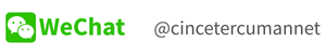 cincetercumantalepetwechat